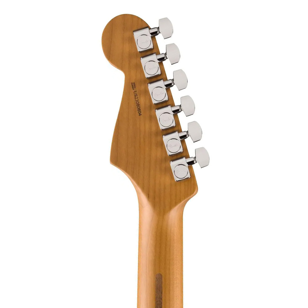 Fender Limited Edition American Professional II Stratocaster